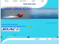 cahirdiveclub.com