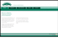 eventscaffolding.com