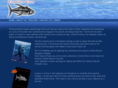 oceansinaction.com