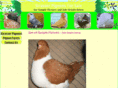 strasserpigeons.com