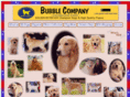bubble-company.com
