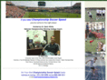 championshipsoccerspeed.com
