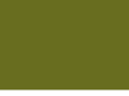 chennaihotelsassociation.com