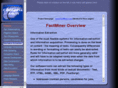 factminer.com