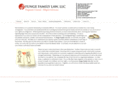 fungefamilylaw.com