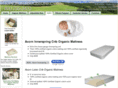 naturalbabybed.com