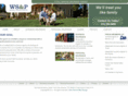 wspinsurance.com