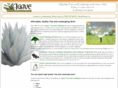 agavetreeandlandscape.com