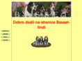 basset-lindi.com