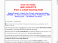 bigprofitmakers.com