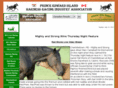 peiharnessracing.com