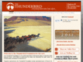 thunderbirdfoundation.com