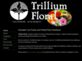 trilliumwholesale.com