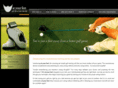atyourfeetgolf.com