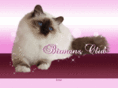 birmansclub.com