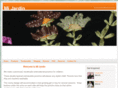 mijardinponchos.com