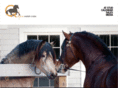 quillanewelsh.com