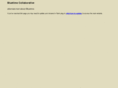 bluetimecollaborative.com
