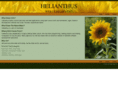 helianthusinc.com