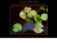 jackradetsky.com