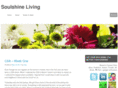 soulshineliving.com