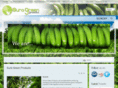 suragreen.com