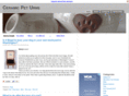 ceramicpeturns.com