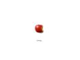 fast-mac.com