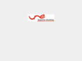 noveltyinternacional.com
