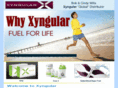 xyngularcore4xyng.com