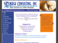 nashconsulting.com