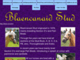 blaencanaid.com