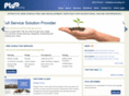pluoconsulting.com