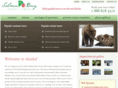 salmonberrytravel.com