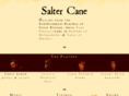 saltercane.com