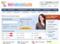 websolutionbuddy.net