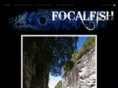 focalfish.com