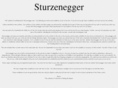 sturzenegger.com