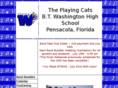 theplayingcats.com