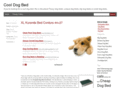 cooldogbed.info