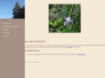 abundancepermaculture.com