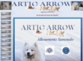 articarrow.it