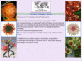its-ltd.com
