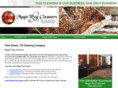 magicrugcleaners.net