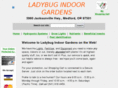 ladybugindoorgardens.com