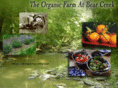 organicfarmatbearcreek.com