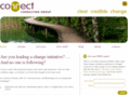 connectconsultinggroup.com