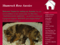 shamrockroseaussies.com