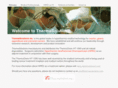 thermasolutions.com