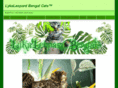 bengals-lykaleopard.com